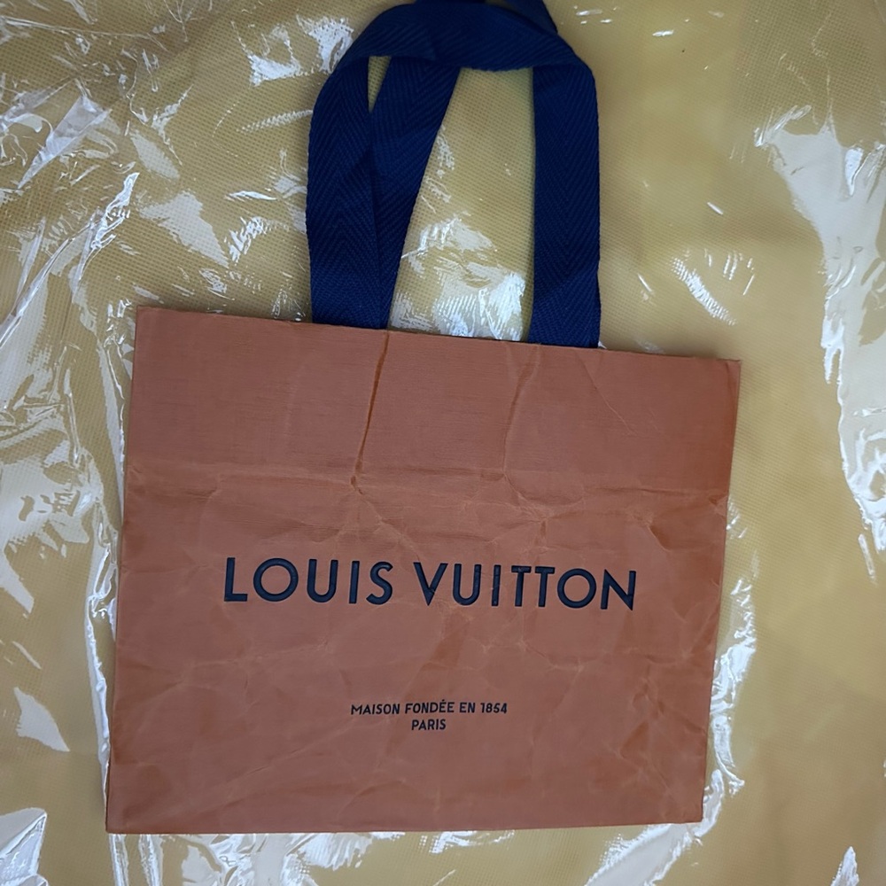 LOUIS VUITTON Small Shopping Bag Gift Bag